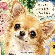 ひーの画像