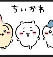 うみ。の画像