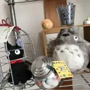 がばいよかの画像