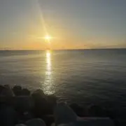 りりの画像