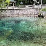 kenkoの画像