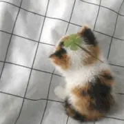 h.の画像