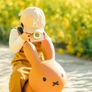 コイママの画像