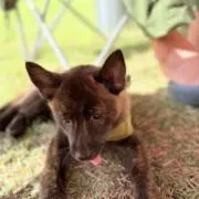 takの画像
