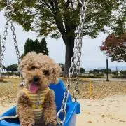 erukunn0309の画像
