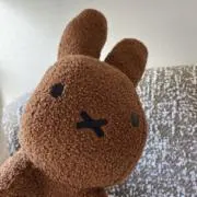 NISHINOの画像