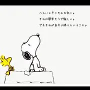 ぴょんの画像