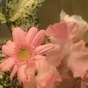 ay＠プロフご確認くださいの画像