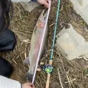 これ
