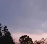 よもぎ
