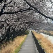 鈴木
