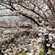 やまやま☆プロフ必読☆の画像