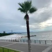 nonの画像