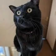 ゆー