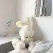 きいの画像