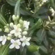 bonbon♪の画像