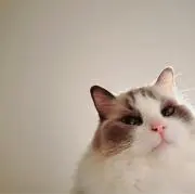 HW
