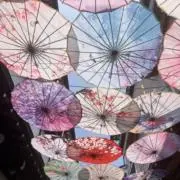 ゆめの画像