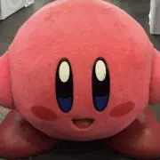 シオンの画像