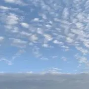 mkの画像
