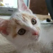 マロン❤️