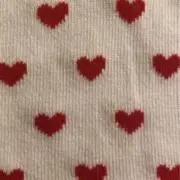 Rの画像