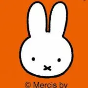 しまちゃんの画像