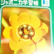 茶々