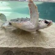 mの画像