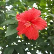 Image of まさ