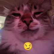 ✧