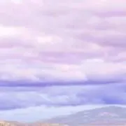 しらたま。の画像