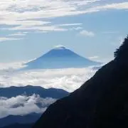 ちゃどちゃどの画像