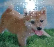 nonの画像