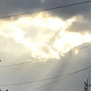 ぽんきちの画像
