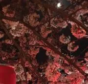 りょーへーの画像