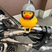 まっちょ　（プロフィール必読願います）の画像