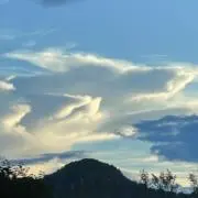 toの画像