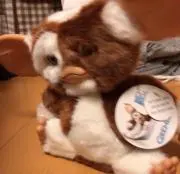 れいの画像