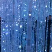 moyoの画像