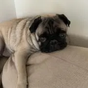 ヘラクライスト