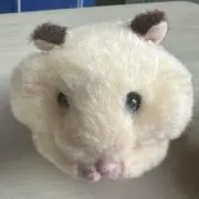 ハム太の画像