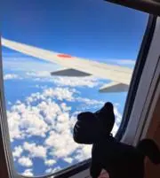 meiの画像