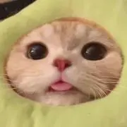 su