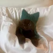 oooの画像