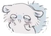 こゆ