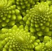りんろんの画像