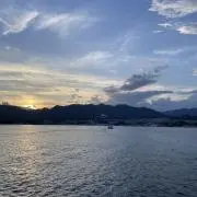 モチの画像