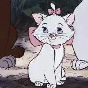 のーぷらんの画像