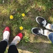 アオの画像